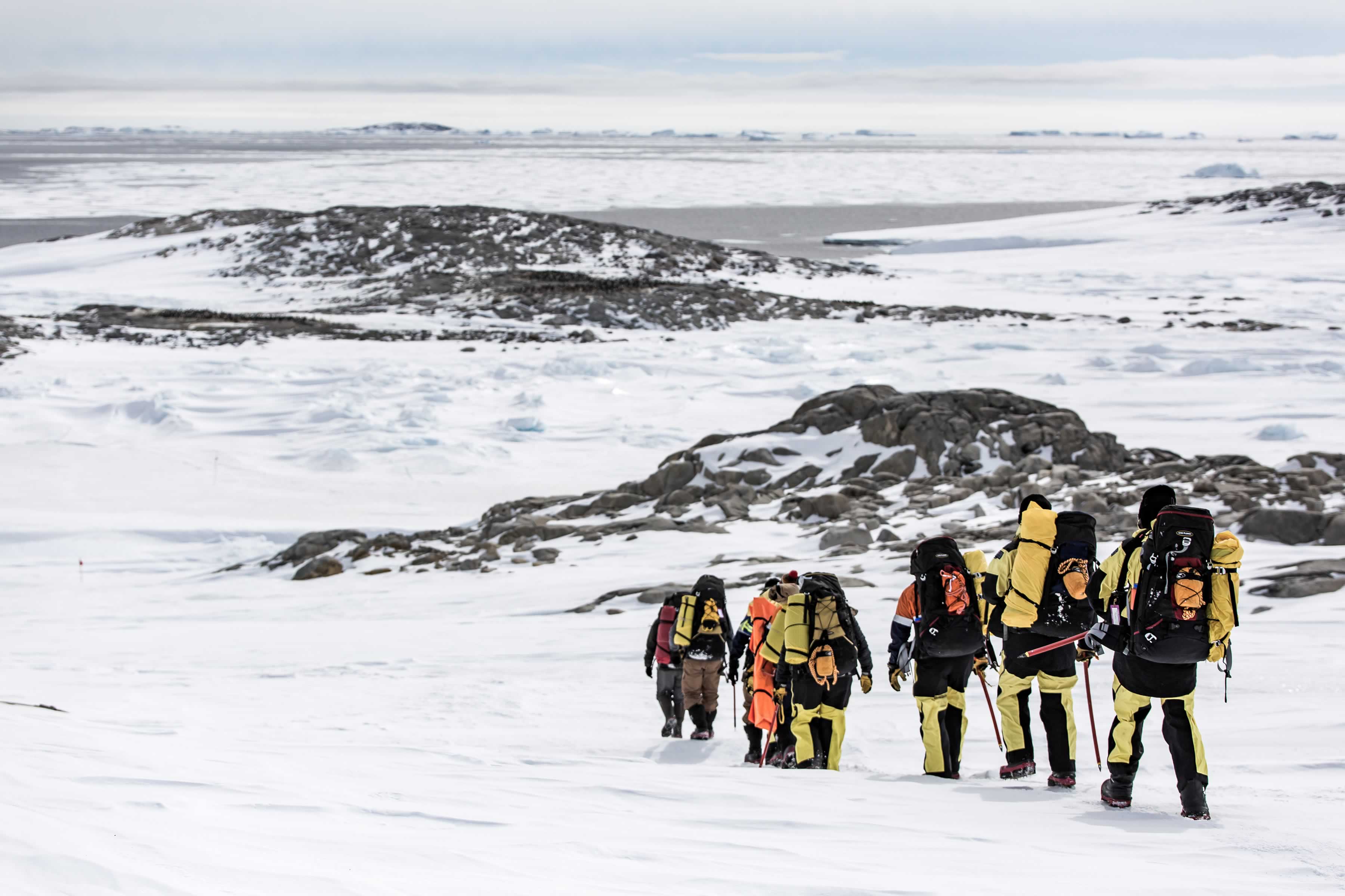 Group of expeditioners with packs on in foreground heading downhill towards sea ice covered channel with rocky island in background. Photo: Dominic Hall.